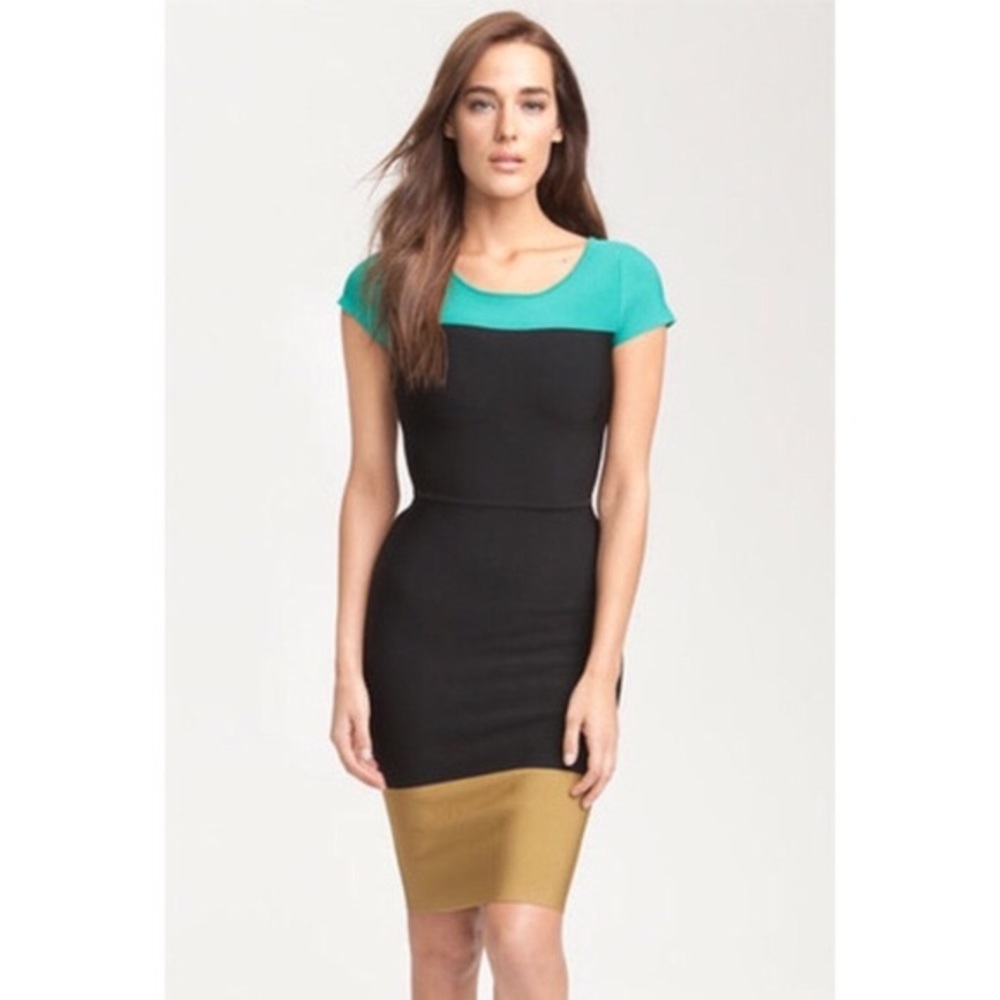 BCBG Colorblock Jacquetta Bodycon Dress XS
